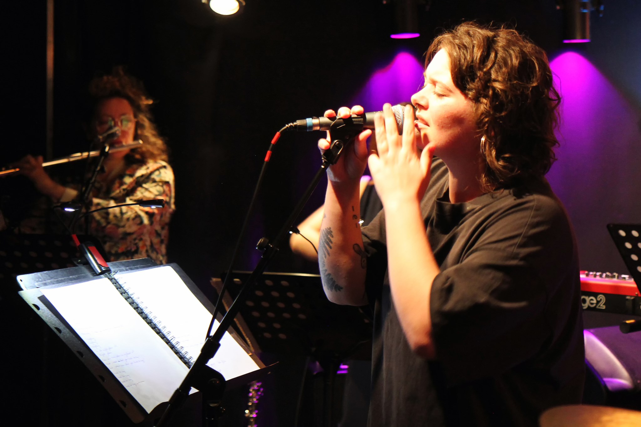 concert-toulouse-artistes-collectif-3