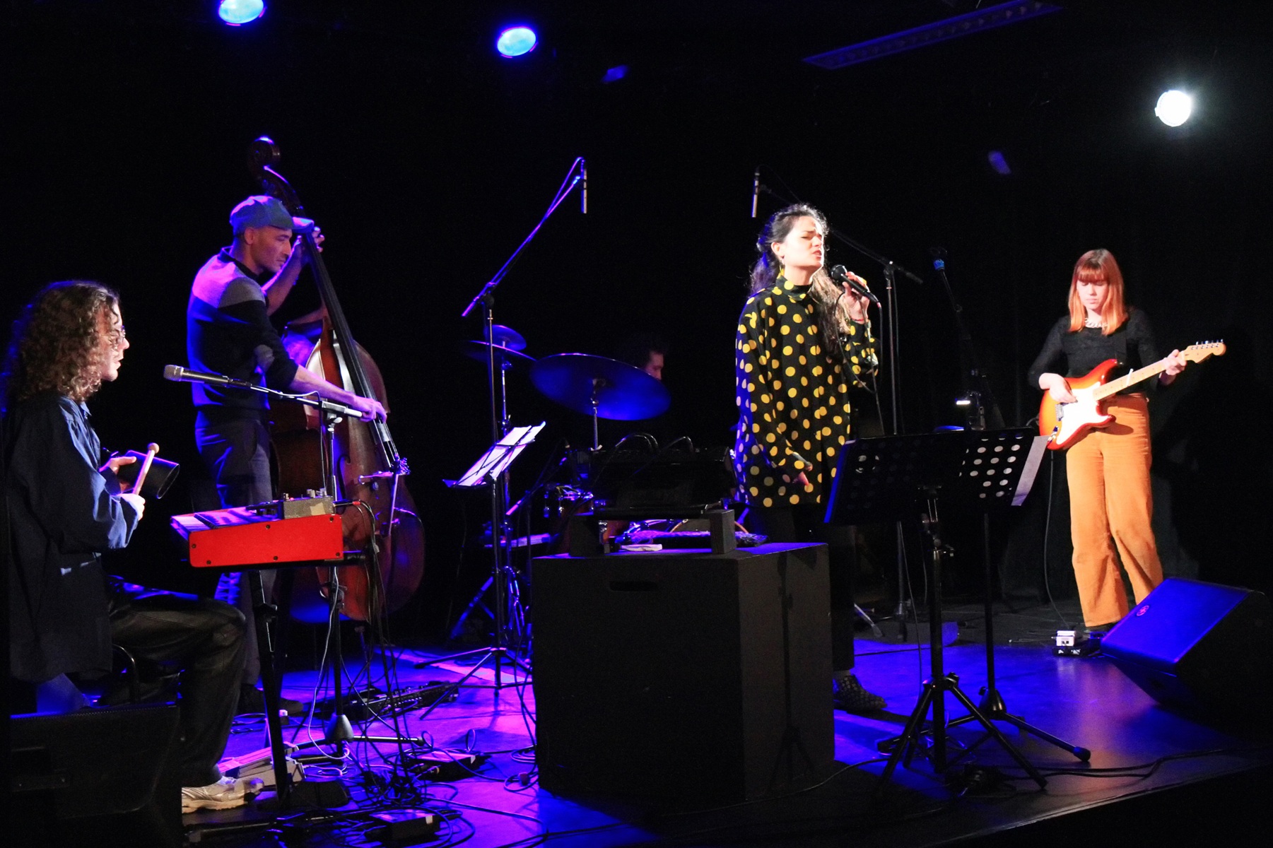 concert-hommage-nina-simone-IMG_9579