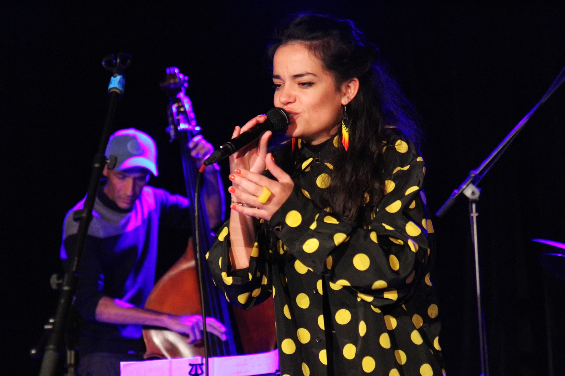 concert-hommage-nina-simone-IMG_9644